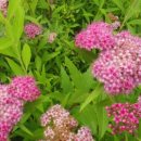 복이자원 환경 이미지