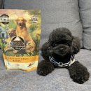 현대애견사료 이미지