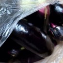 공북2리경로당 이미지