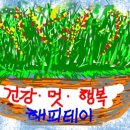 해피데이퀸즈헤나