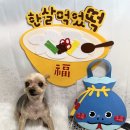 요미살롱 이미지