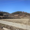 광시면010 이미지