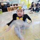 12월 1주 생일파티, 스페셜 데이, 꼬미꼬미 ( 펭귄 ) 이미지