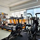 더 리얼핏 이미지