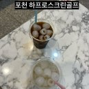 하프로스크린골프