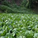 아침에풍경 이미지