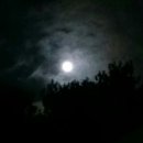 해뜨는 숲속 이미지