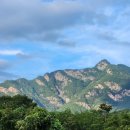 단산한옥본채 | 팡팡이와 문경여행 - 단산한옥펜션 별채 애견동반 후기 1