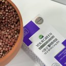 식물성멜라토닌2mg 유어그린ㅣ멜라트리 후기