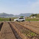 태호네농장 이미지