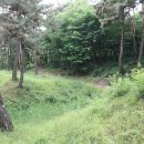 부소산성 남문지 이미지