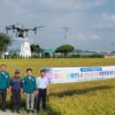 무지갯빛 이미지