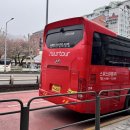 소나무향기태권도장(수양) | [공지] 알레버스 타고 다녀온 2026 태안 세계 튤립꽃 박람회🌷