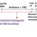 Re:Re:토마스 사이프리드 교수의 Ketogenic 식이요법으로 뇌종양 치료 사례논문 이미지