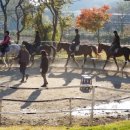 인기농장 이미지