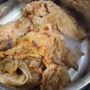 로엘마트 | [다이어트 레시피 #7] 진짜 매운 참치짜글이 / 초간단 자취 요리