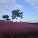 지중해아침 이미지