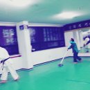 아리랑유도체육관 이미지