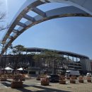 승리수산 | [대전] 3월 19일 이글스파크 직관 후기! 조금 늦었지만 꼭 써야만 했던 뒤풀이 성지 '중부회수산'