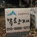 연기면 금강보행교북측(좌) | 세종특별자치시 1박2일 여행지 추천 숙소 목향재, 금강보행교, 세종국립수목원