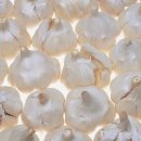 신천제일요양병원 이미지