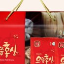 현대홍삼유통