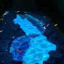 간석자유시장 이미지