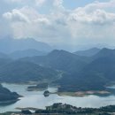 모노포레스트 이미지