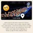 한지공예(야간) | 청계천 잉어킹, I love 잉어킹 완벽정리, 2025 서울빛초롱축제 -서울12월 축제 이벤트 서울가볼만한곳