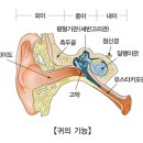 방송길5 이미지