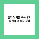 규진글로벌 | 엔믹스 버블 구독 후기 및 멤버별 특징 정리