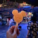 피터팬PC | 6월 도쿄 여행 디즈니씨 오픈런 팁, 후기, DPA패스 결제시 오류, 어트랙션 후기 (+ 6월 디즈니씨 갈만...