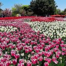 오월 첫날에 이미지