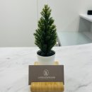 마음의평화정신건강의학과의원 이미지