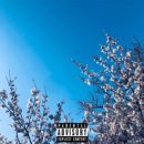 BLOSSOM 20 이미지