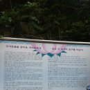 반야토굴 Daum카페