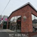 카페정화 | 부산 연산동 신상 카페! 선인장 플랜테리어로 정화되는 이색 카페 칵터스 내 돈 내산 후기글!