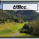 비드솔로몬