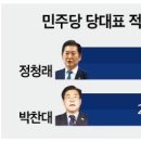 당대표 여론조사 분석 이미지