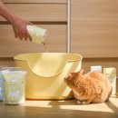 인하로1L 이미지