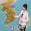 엘리트 복싱클럽 이미지