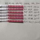 진하길 | 5일배아 BB등급 포배기배아 1차 피검사 수치 및 임테기 진하기 변화 기록