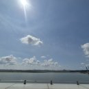 스테이마레 이미지