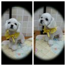 말티스토리 이미지