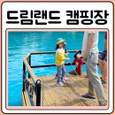 드림랜드 오토캠핑장 수영장 이미지