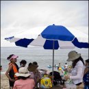 일산떡마을 | 2부-여름휴가 갈천에서 8월 4일~8일