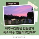 이이공공 | 제주 애견동반 한달살기 숙소 먼슬리브인제주 비용