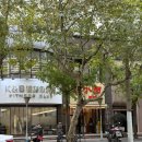 곰돌이탕후루 | 배탈 난 상하이 : 우캉루/제시레스토랑/동북사계교자왕/곰돌이카페/주가각/정원원