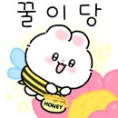 쑤니샵 이미지