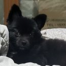 비에이치씨원주